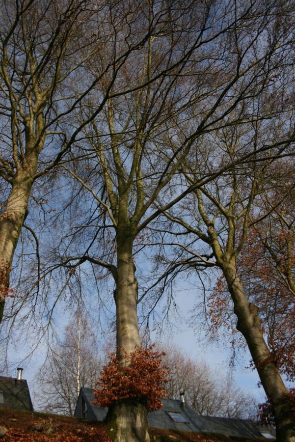 Apartmán Le Lumadel Malmedy Exteriér fotografie
