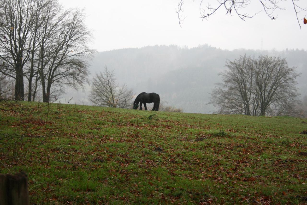 Apartmán Le Lumadel Malmedy Exteriér fotografie